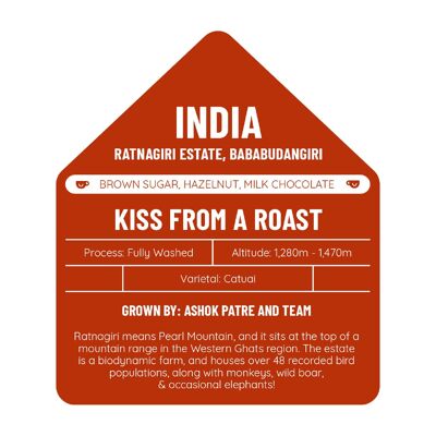 Kiss from a Roast