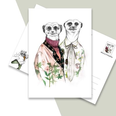 Card A5 animal Meerkats