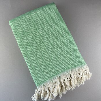 Couverture Liska - VERT 1