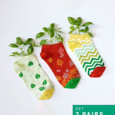 Set de primavera (paquete de 3)