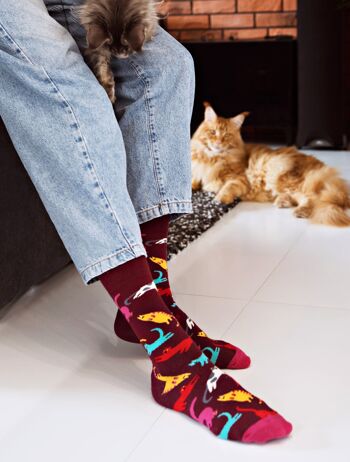 Chaussettes Miaou | Chaussettes pour chats | Chaussettes pour amoureux des chats | Chats drôles | Beaux chats | 2