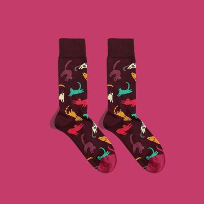 Chaussettes Miaou | Chaussettes pour chats | Chaussettes pour amoureux des chats | Chats drôles | Beaux chats |