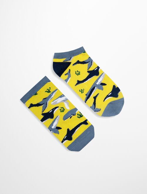 Mr.Whale short socks | Sea life Socks | Sea Socks | Unisex Socks |