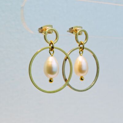 Stud earrings, gold-plated, freshwater cultured pearl in white, 377