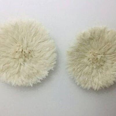 Set of 02 white juju hat 60 cm