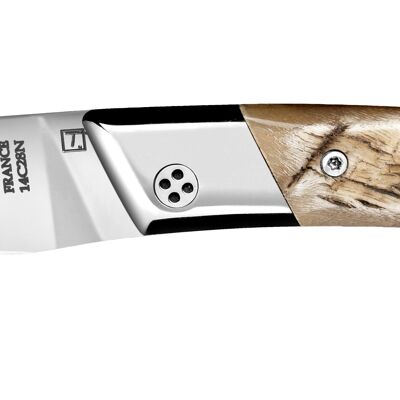 Coltello tascabile Le Thiers RLT in corno di montone