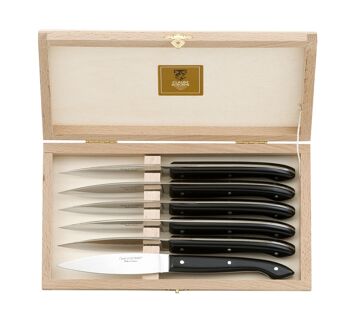 Coffret 6 couteaux à steak Capucin manche résine noire