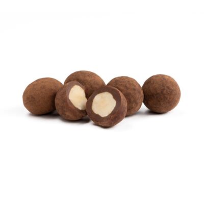 Salty Chocolate Hazelnuts Bulk 10kg Vegan Organic