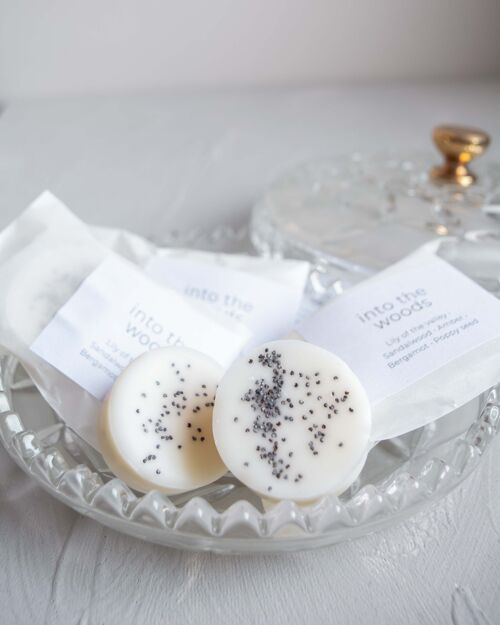 'Into the woods' wax melts (8 pc)
