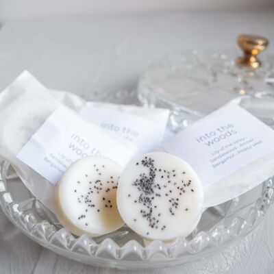 'Into the woods' wax melts (8 pc)