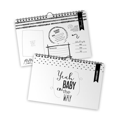 9 Months Pregnancy Calendar