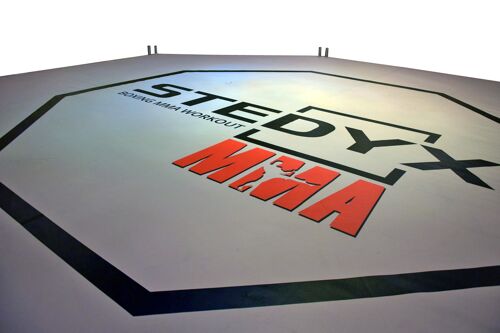 MMA-octagon canvas Stedyx | pvc - Product Afmetingen: 5 meter