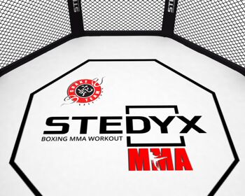 Toile octogonale MMA Stedyx | pvc - Dimensions du produit : 6 mètres 2
