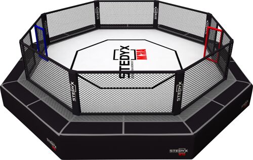 MMA- octagon UFC Rules Stedyx