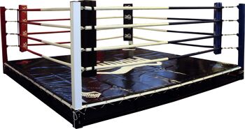 Toile de ring de boxe Stedyx | PVC - Dimensions du produit : 7.8x7.8 mètres 1
