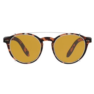 Foxman Frames