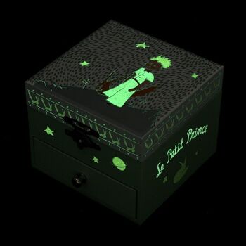 Coffret Musique Cube Phosphorescent Le Petit Prince - Jardin 2