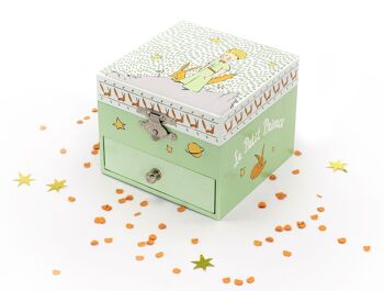 Coffret Musique Cube Phosphorescent Le Petit Prince - Jardin 5