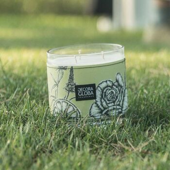 Bougie aromatique - Fragrance Herbe fraîchement coupée - Repos sur l'herbe - 220gr 4