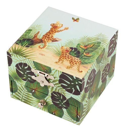 Coffret Musique Cube Savane