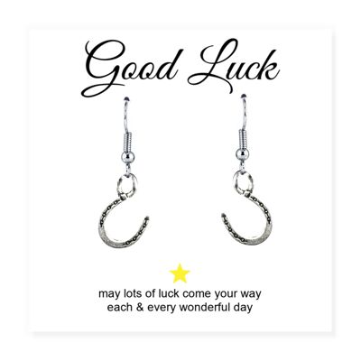 Horseshoe Charm Earrings with Good Luck Message Card