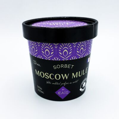 Sorbetto Moscow Mule