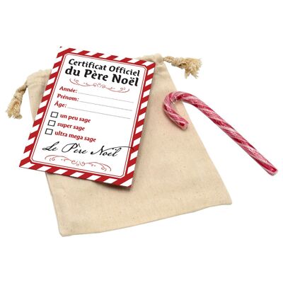 Santa's report for well-behaved children