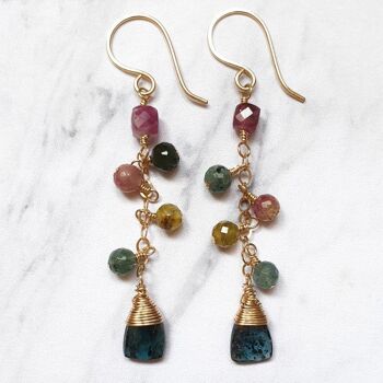 Earrings adorned with Tourmaline and Kyanite Gems 2