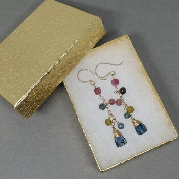 Earrings adorned with Tourmaline and Kyanite Gems 4