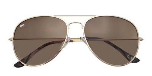 Sunglasses Scott Shiny Gold/brown