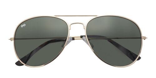 Sunglasses Scott Shiny Gold/green