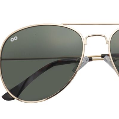 Sunglasses Scott Shiny Gold/green