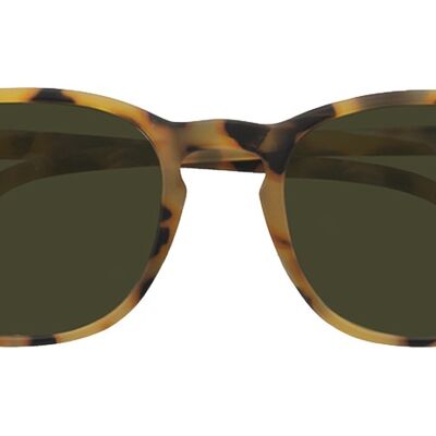 Sunglasses Alex Caramel