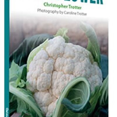 Cauliflower recipe book