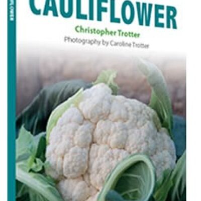 Cauliflower recipe book