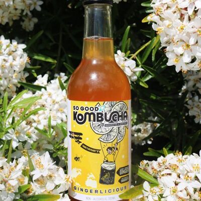 So Good Kombucha - Gingerlicious (Gingembre, Citron, Curcuma) - carton de 12 bouteilles en verre de 330 ml.