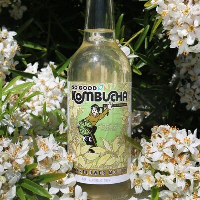 So Good Kombucha - Mojito ai fiori di sambuco confezione da 12 bottiglie di vetro da 330 ml