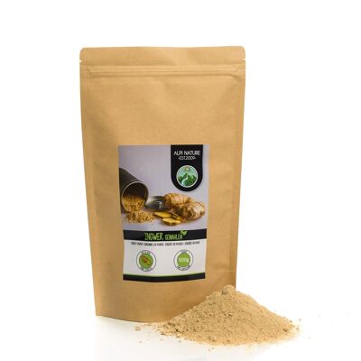 Ginger powder 500g