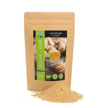 Gingembre bio en poudre 250g