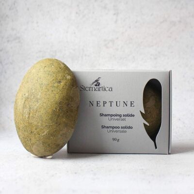 NEPTUNE | Shampoing solide universel
