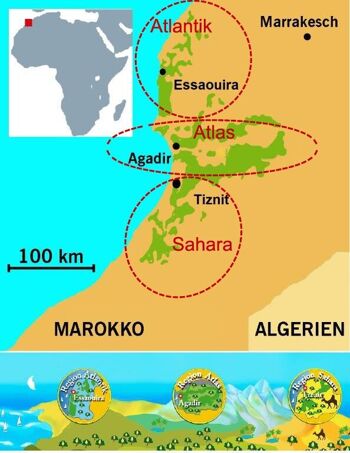 Huile d'argan bio Argand'Or Sahara (huile alimentaire gourmande, région du SAHARA) - torréfiée -250 ml 3