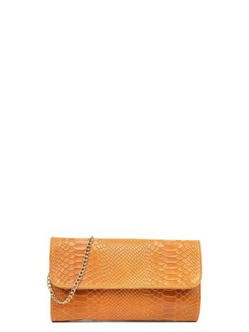 AW21 IR 8018_COGNAC_Pochette 1