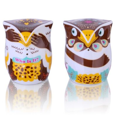 Owlets Hoo is it - Juego de sal y pimienta Owlets de 2 piezas, porcelana