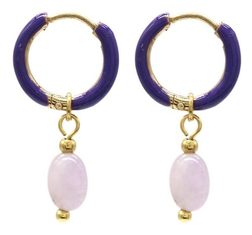 B-E6.1 E2142-033G S. Steel Earrings 1x2.5cm Amethyst