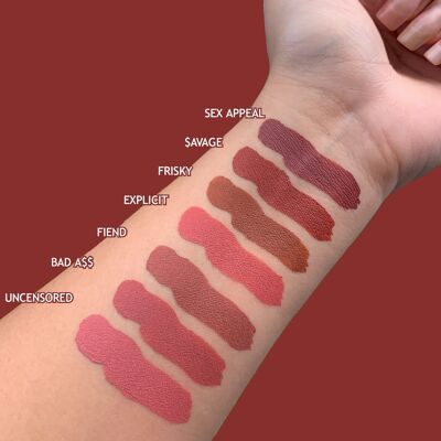 Unzensierte Matte Pro Lip Paint