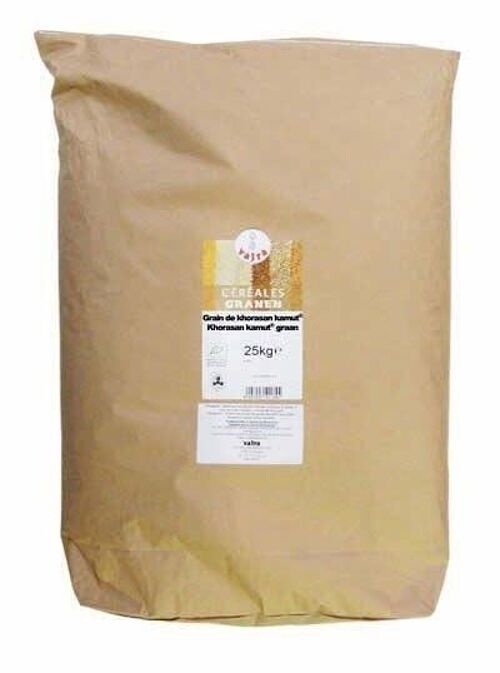 GRAIN DE KHORASAN KAMUT® (25 kg)