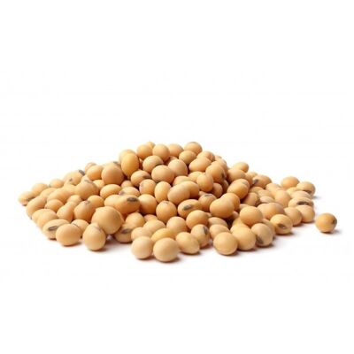 YELLOW SOY (5 kg)