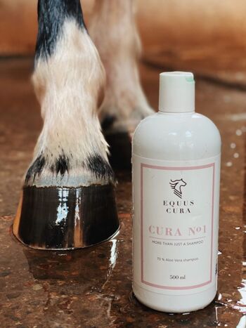 CURA No. 1 – Shampooing pour chevaux avec 70% d'Aloe Vera 2