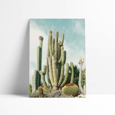 Póster 30x40 - Cactus californiano 1