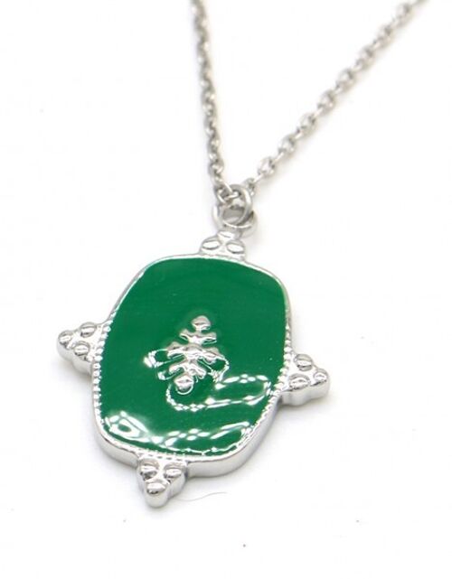 N010-061S S. Steel Necklace with Enamel 2cm Charm